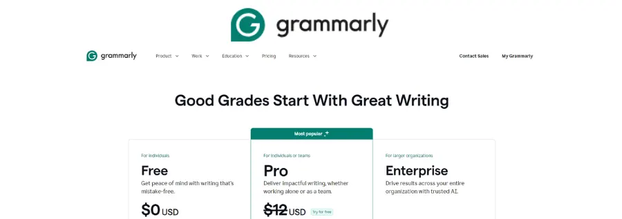 What is Grammarly